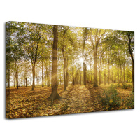 Obraz na płótnie Słońce między Drzewami w Lesie 80x50 cm