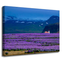 Obraz na płótnie Natura Pole lawendy 40x30 cm