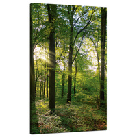 Obraz na płótnie Słońce Las Drzewa Promienie Światła 70x120 cm