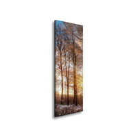 Obraz na płótnie Drzewa Zima Wschodzące Słońce 40x120 cm
