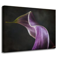 Obraz na płótnie Botanika Kwiat fioletowy płatek 40x30 cm