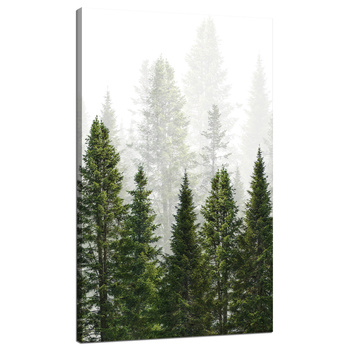 Obraz na płótnie Deszczowy Las Natura Drzewa 70x120 cm