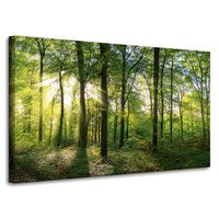 Obraz na płótnie Słońce Las Drzewa Promienie Światła 100x60 cm