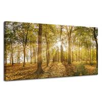 Obraz na płótnie Słońce między Drzewami w Lesie 120x60 cm