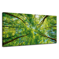 Obraz na płótnie Drzewa Liście Natura Las Wiosna 120x60 cm