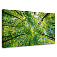 Obraz na płótnie Drzewa Liście Natura Las Wiosna 100x60 cm