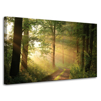 Obraz na płótnie Światło Słońca Las Ścieżka Natura 100x60 cm