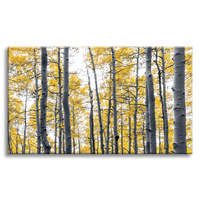 Obraz na płótnie Brzozy Żółte Liście Natura Wiosna 120x80 cm