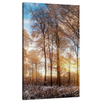 Obraz na płótnie Drzewa Zima Wschodzące Słońce 70x120 cm