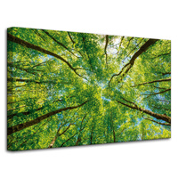 Obraz na płótnie Drzewa Liście Natura Las Wiosna 80x50 cm