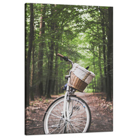 Obraz na płótnie Młodzieżowe Rower w Lesie 80x120