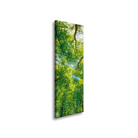 Obraz na płótnie Drzewa Liście Natura Las Wiosna 40x120 cm