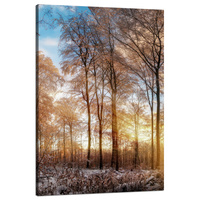 Obraz na płótnie Drzewa Zima Wschodzące Słońce 80x120 cm