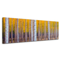 Obraz na płótnie Brzozy Jesienią Żółte Liście 120x40 cm