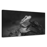 Obraz na płótnie Jaszczurka Gad Czarno-Białe Natura 120x60