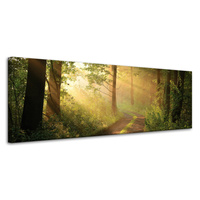 Obraz na płótnie Światło Słońca Las Ścieżka Natura 120x40 cm