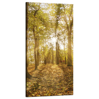Obraz na płótnie Słońce między Drzewami w Lesie 60x120 cm