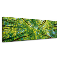 Obraz na płótnie Drzewa Liście Natura Las Wiosna 120x40 cm