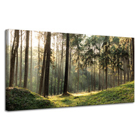 Obraz na płótnie Las Drzewa Słońce Natura 120x60 cm