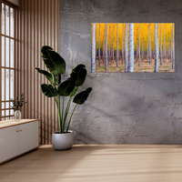 Obraz na płótnie Brzozy Jesienią Żółte Liście 120x70 cm