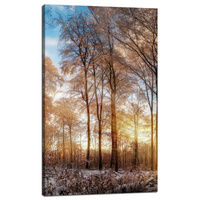 Obraz na płótnie Drzewa Zima Wschodzące Słońce 60x100 cm