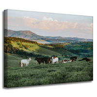 Obraz na płótnie Natura Pastwisko_2 40x30 cm