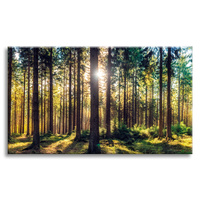 Obraz na płótnie Las Słońce Drzewa Wiosna Poranek 120x80 cm