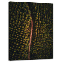 Obraz na płótnie Natura Droga z lotu ptaka 30x40 cm