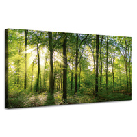 Obraz na płótnie Słońce Las Drzewa Promienie Światła 120x60 cm