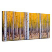 Obraz na płótnie Brzozy Jesienią Żółte Liście 120x60 cm