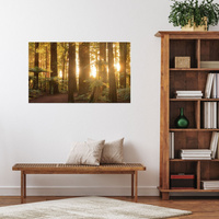 Obraz na płótnie Promienie Słońca Las Drzewa  120x70 cm