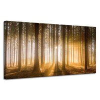 Obraz na płótnie Słońce w Lesie Światło Drzewa 120x60 cm