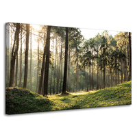 Obraz na płótnie Las Drzewa Słońce Natura 100x60 cm