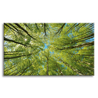 Obraz na płótnie Liście Drzewa Zieleń Słońce Niebo 120x80 cm