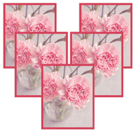 5x Rama Amarant 24x30, I L13,15,056, Plexi