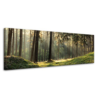 Obraz na płótnie Las Drzewa Słońce Natura 120x40 cm