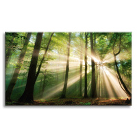 Obraz na płótnie Słońce w Lesie Drzewa Natura 70x50 cm