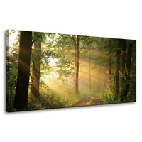 Obraz na płótnie Światło Słońca Las Ścieżka Natura 80x40 cm