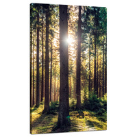 Obraz na płótnie Las Słońce Drzewa Wiosna Poranek 70x120 cm