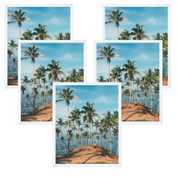 5x Rama Biała 30x40, I L13,15,063, Plexi