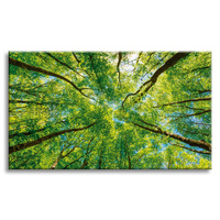 Obraz na płótnie Drzewa Liście Natura Las Wiosna 120x80 cm