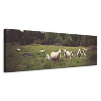 Obraz na płótnie Natura Owce na pastwisku 120x40