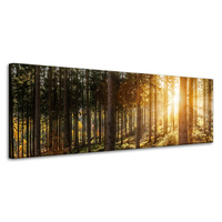 Obraz na płótnie Brzozy Drzewa Słońca Poranek 120x40 cm