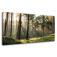 Obraz na płótnie Las Drzewa Słońce Natura 80x40 cm