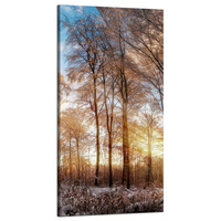 Obraz na płótnie Drzewa Zima Wschodzące Słońce 60x120 cm