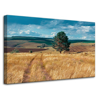 Obraz na płótnie Pole Zboża Natura Chmury Krajobraz 80x50 cm