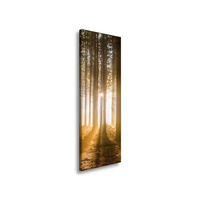 Obraz na płótnie Słońce w Lesie Światło Drzewa 40x120 cm