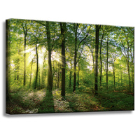 Obraz na płótnie Słońce Las Drzewa Promienie Światła 60x40 cm