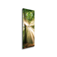Obraz na płótnie Słońce w Lesie Drzewa Natura 40x120 cm