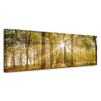 Obraz na płótnie Słońce między Drzewami w Lesie 120x40 cm
